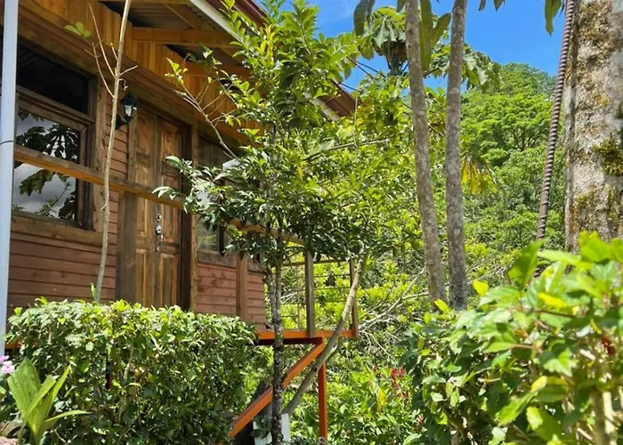 Cabana De Montana