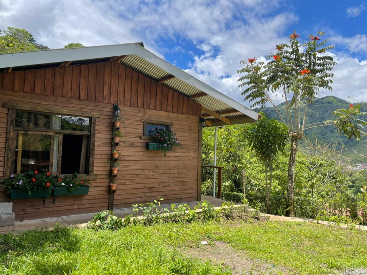 Holiday home De Montana *